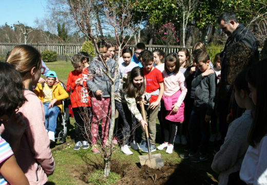 O Concello de Ordes celebra o Día Internacional dos Bosques coa poboación escolar